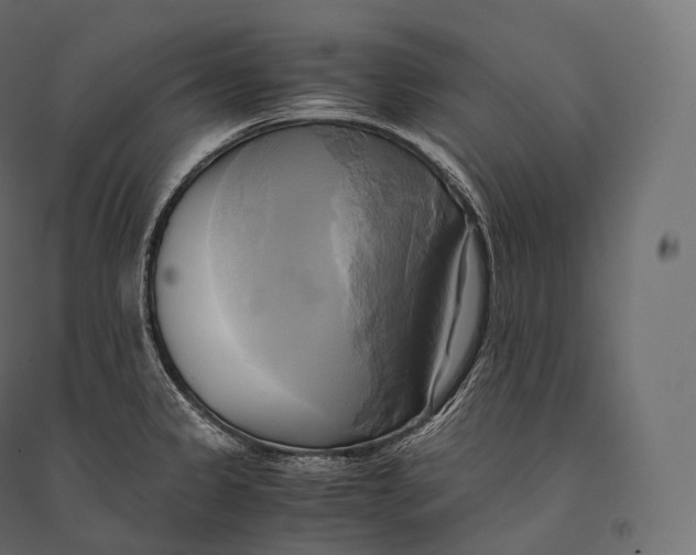 X0000094371333200711241951