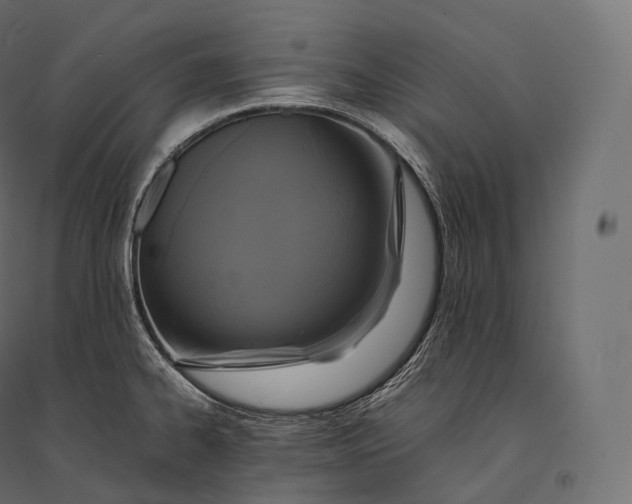 X0000094371334200711241951