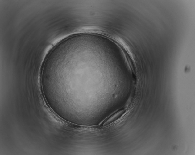 X0000094371336200711241951