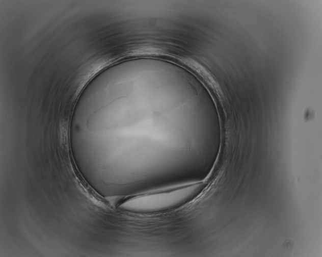 X0000094371337200711241951