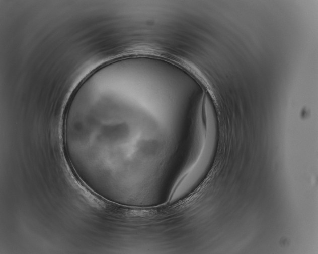 X0000094371339200711241951