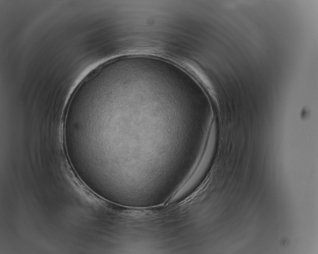 X0000094371340200711241951