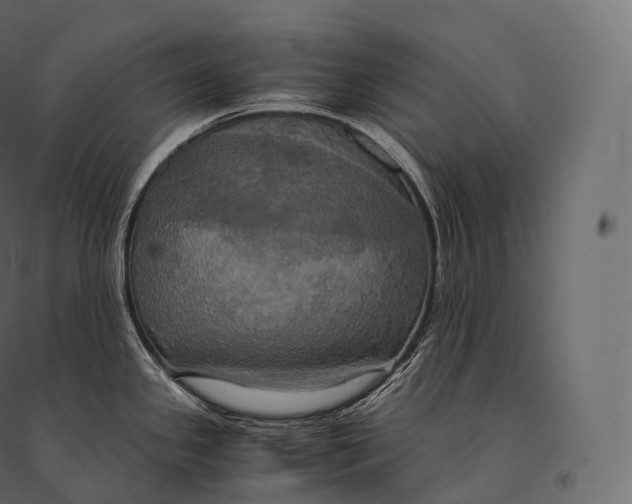 X0000094371341200711241951