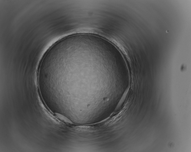 X0000094371342200711241951