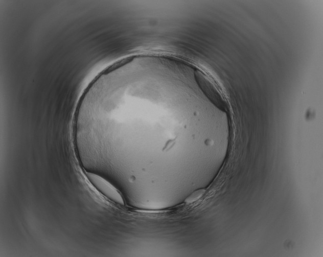 X0000094371344200711241951