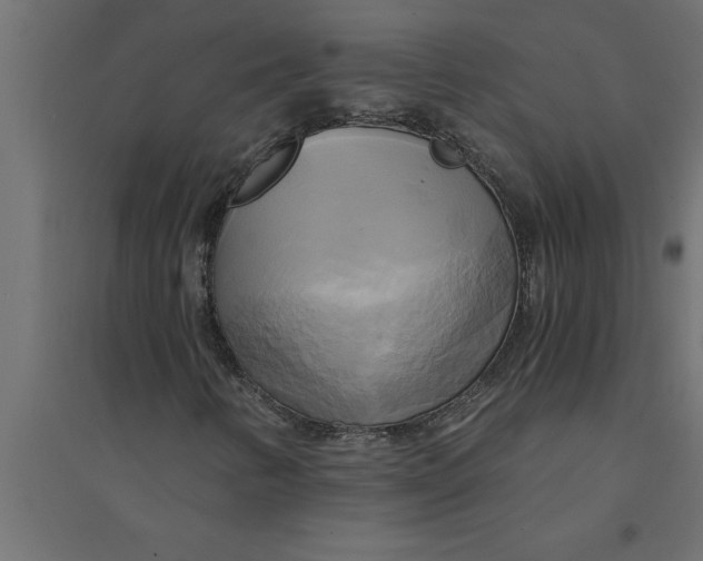 X0000094371346200711241951