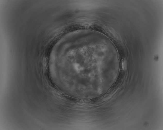 X0000094371347200711241951