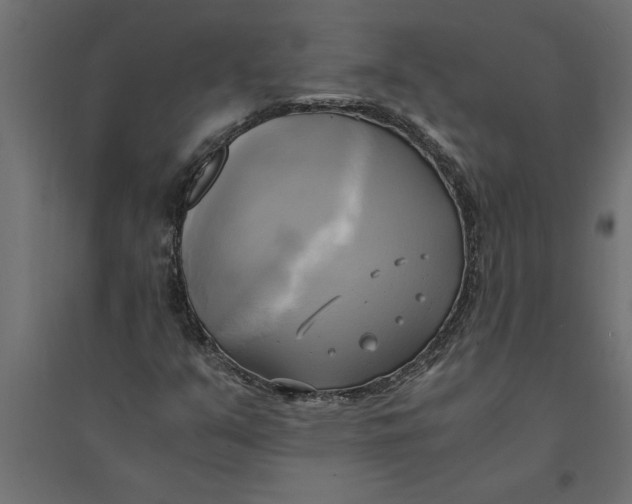 X0000094371351200711241951