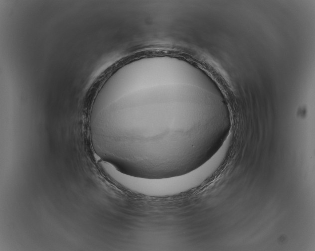 X0000094371352200711241951