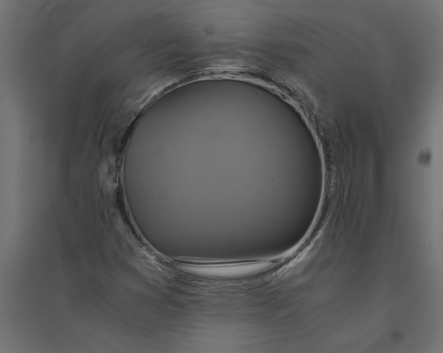 X0000094371353200711241951