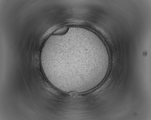 X0000094371354200711241951