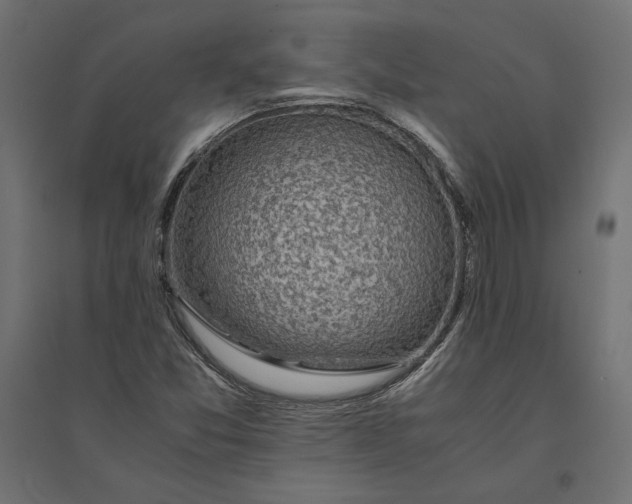 X0000094371357200711241951