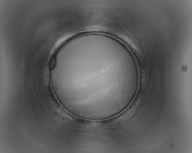 X0000094371358200711241951