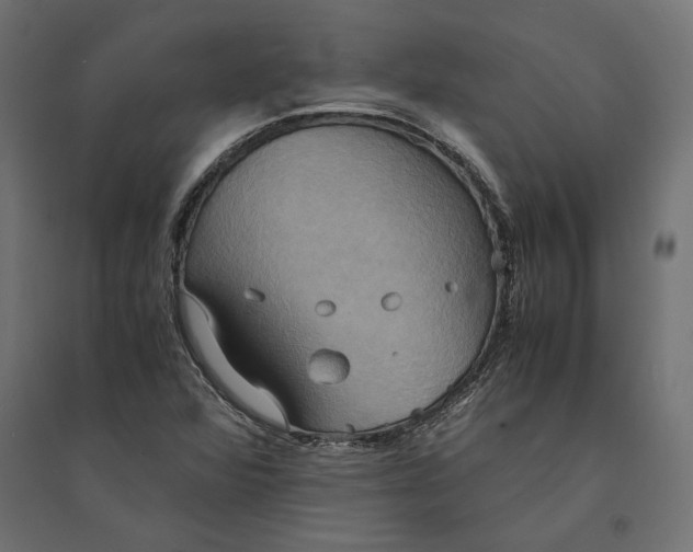 X0000094371360200711241951