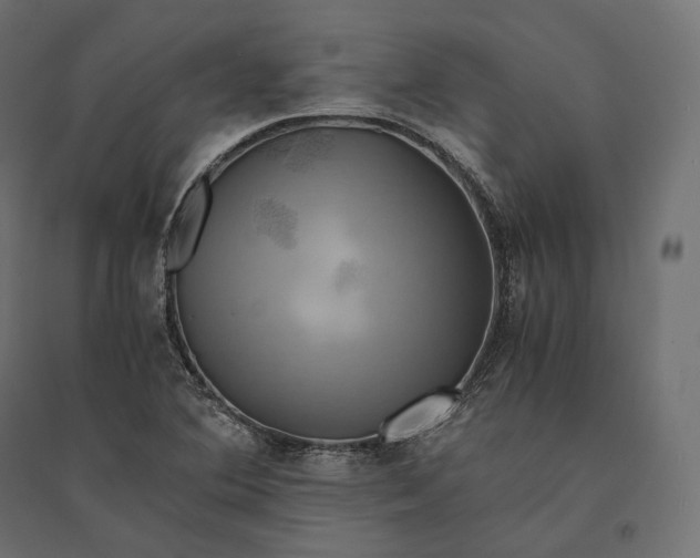 X0000094371364200711241950