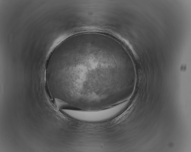 X0000094371365200711241950