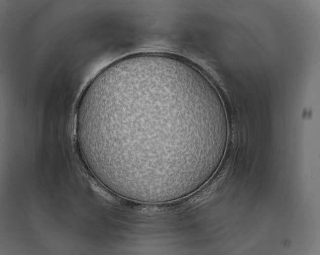 X0000094371366200711241950