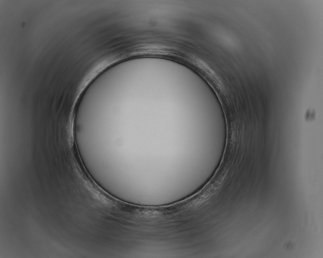 X0000094371370200711241950