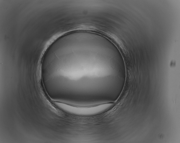 X0000094371371200711241950