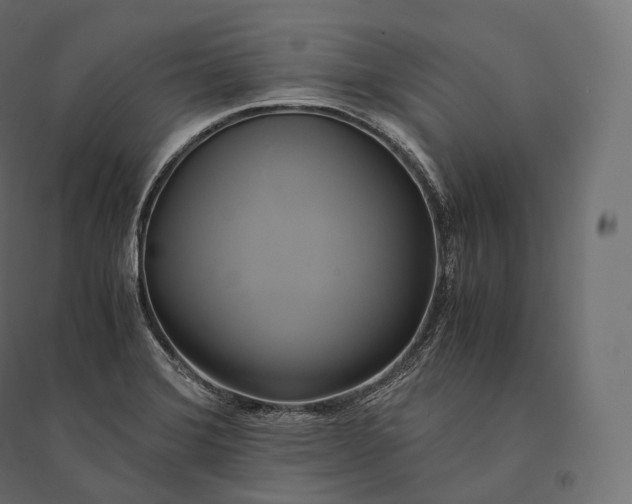 X0000094371372200711241950