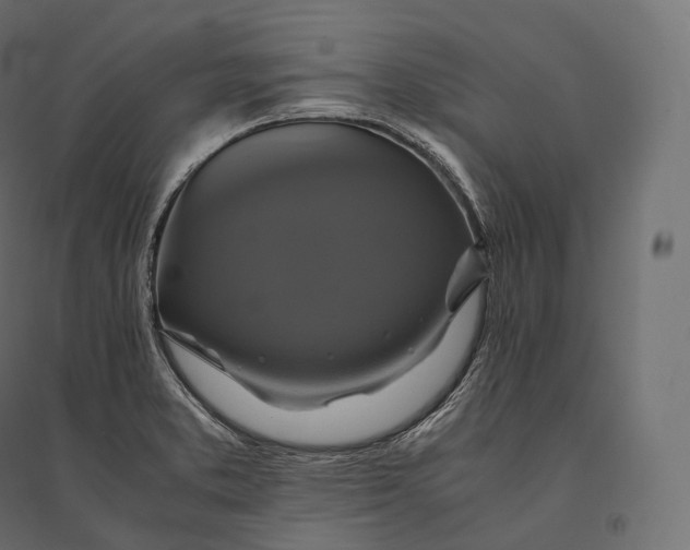 X0000094371373200711241950