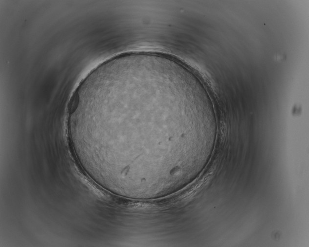 X0000094371374200711241950