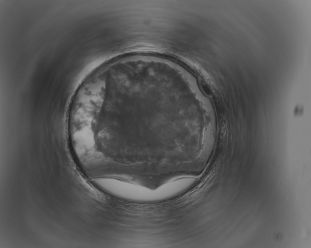 X0000094371375200711241950