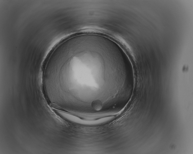 X0000094371376200711241950