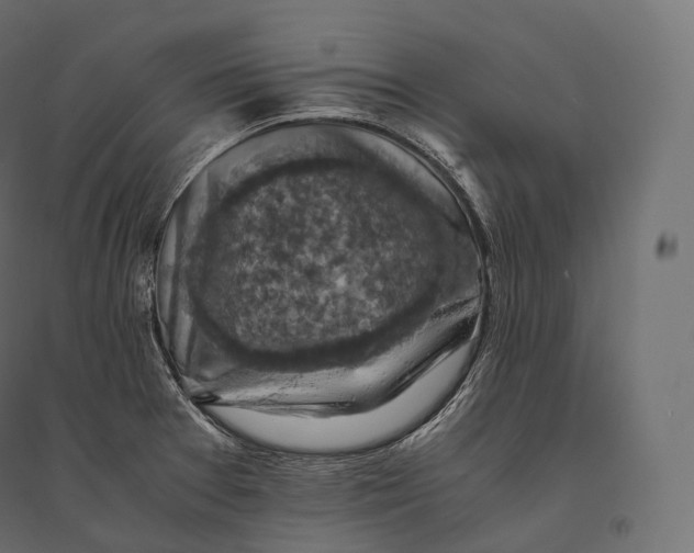 X0000094371377200711241950