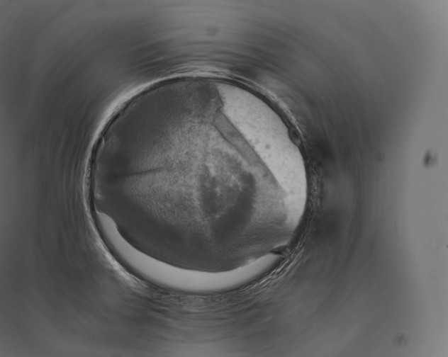 X0000094371379200711241950