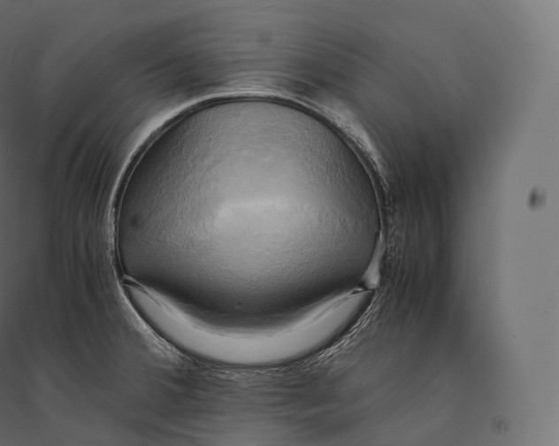 X0000094371380200711241950