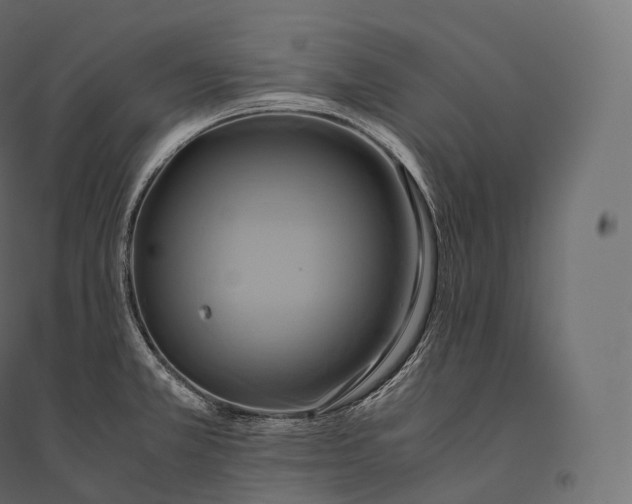 X0000094371381200711241950