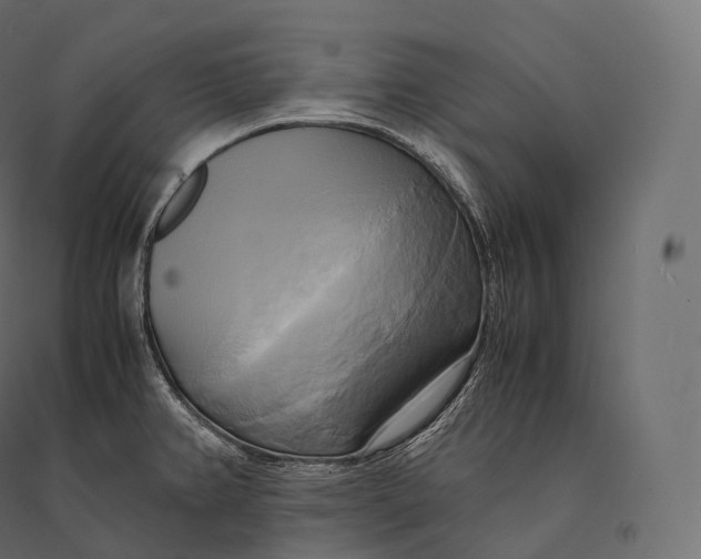 X0000094371382200711241950