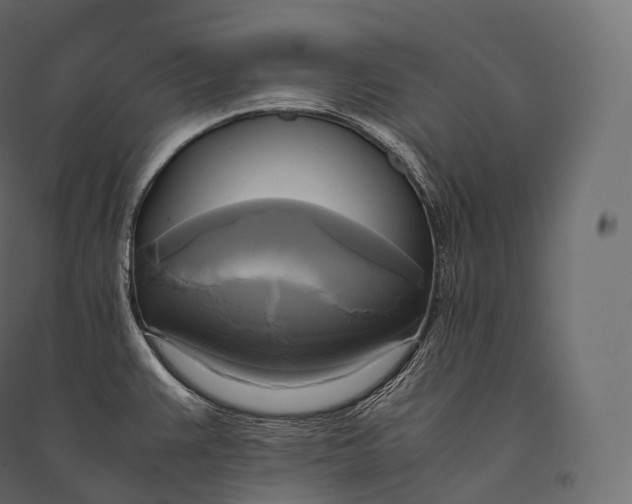 X0000094371383200711241950