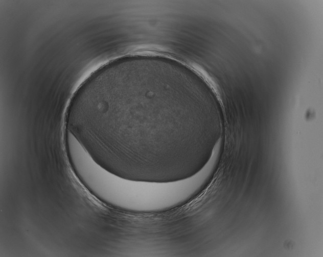 X0000094371384200711241950