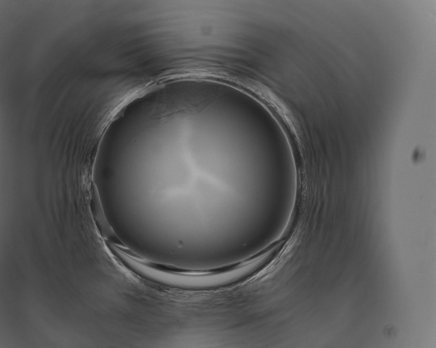 X0000094371385200711241950