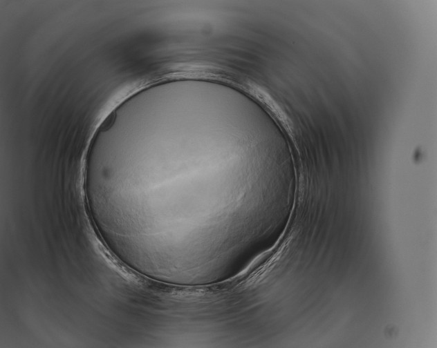 X0000094371386200711241950