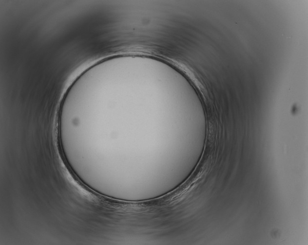 X0000094371387200711241950