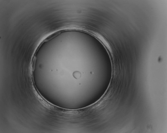 X0000094371388200711241950