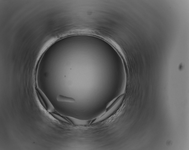 X0000094371389200711241950