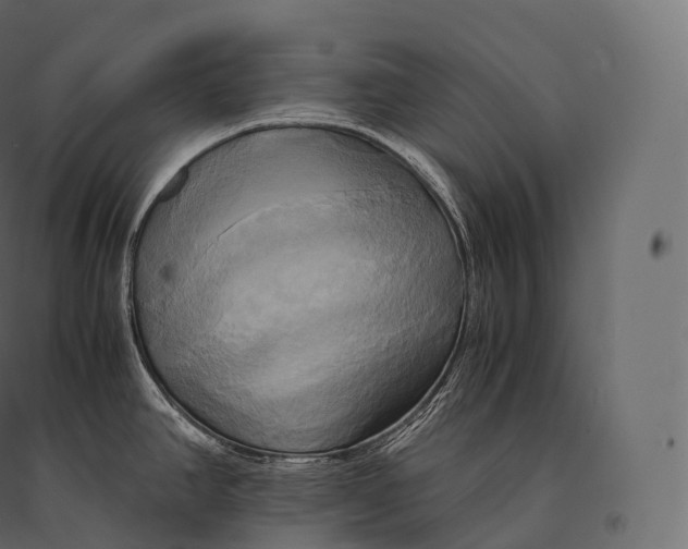 X0000094371390200711241950