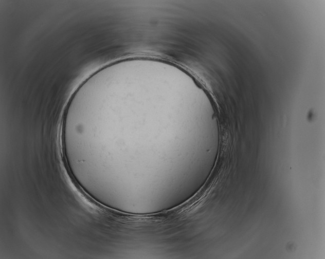 X0000094371391200711241950