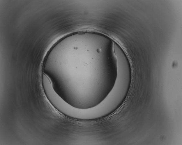 X0000094371392200711241950