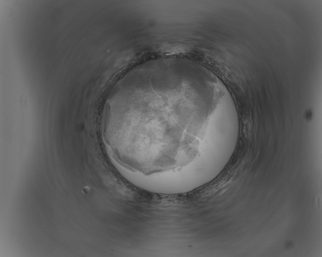 X0000094371393200711241949