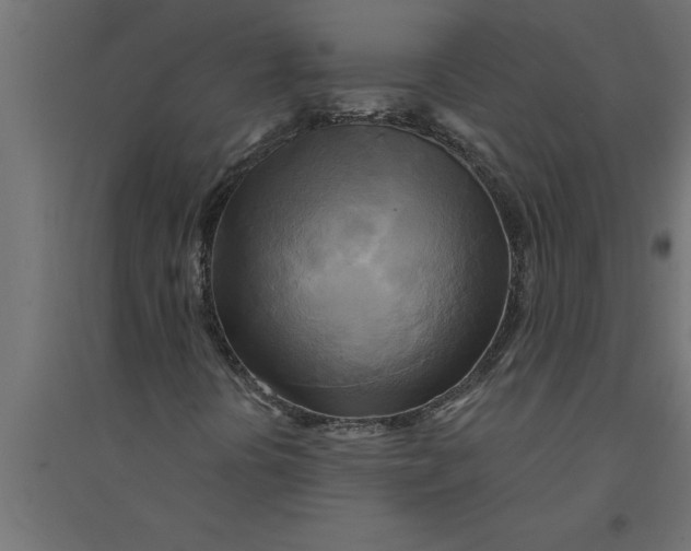 X0000094371394200711241949