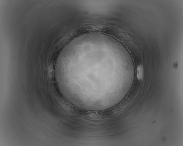 X0000094371395200711241949