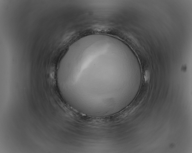 X0000094371396200711241949