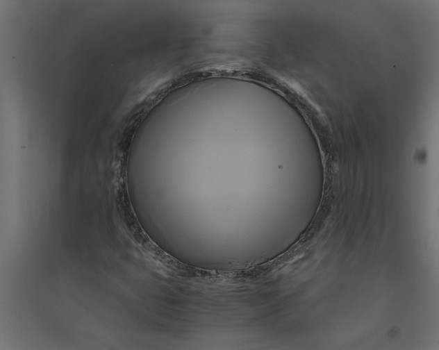 X0000094371399200711241950