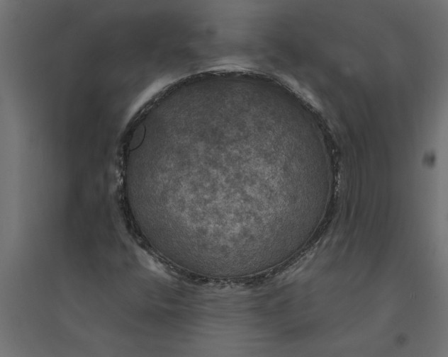 X0000094371400200711241950