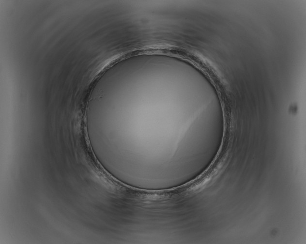 X0000094371401200711241950